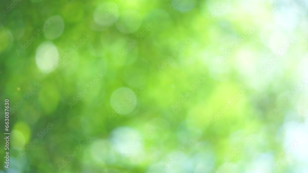 Poster abstract green bokeh texture. natural motion background