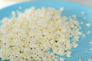 Fresh cottage cheese. Organic homemade food. Selective focus