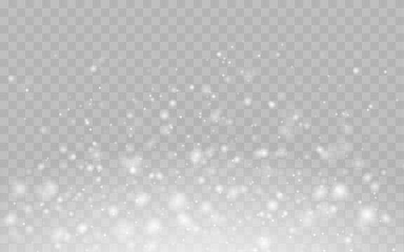 Cold snow blizzard background on transparent background for Christmas and New Year design. Overlay effect. Vector.