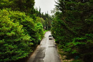 Verde vida en el Parque Nacional