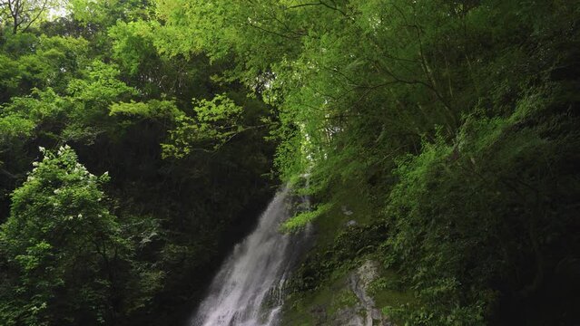 4k Tilt Reveal of Biwa no Taki Waterfall in Iya Valley of Tokushima Japan