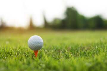 golf ball on tee in a beautiful golf course with morning sunshine