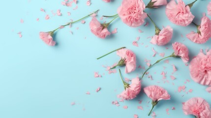 Creative Floral composition,Pink carnation flowers flat lay on sky blue background