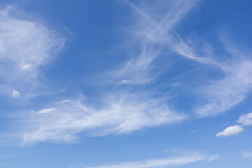 澄んだ秋の空