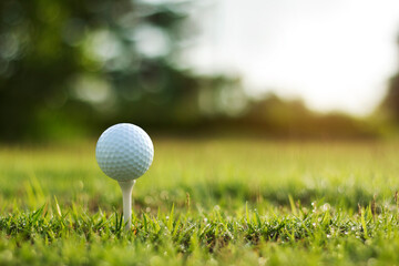 golf ball on tee in a beautiful golf course with morning sunshine