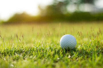 golf ball is on a green lawn in a beautiful golf course