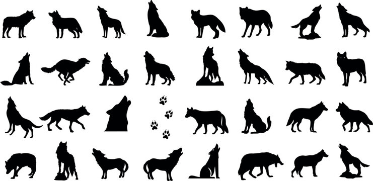 Wolf Silhouette Vector Illustration, perfect for wildlife enthusiasts, featuring a howling wolf against a moonlit sky. Ideal for use in projects related to nature, wildlife, and wilderness

