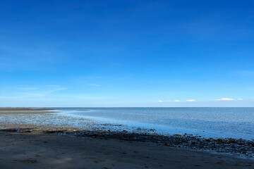 Sky and Sea wildlife nature