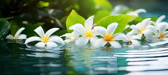 Zelfklevend Fotobehang Plumeria flowers on green leaf floating on water. A peaceful and serene scene with a touch of nature and beauty. © Ahasanara