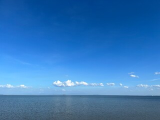 Sky and Sea wildlife nature