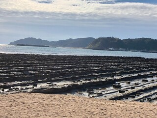 beach and sea