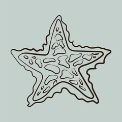 sea animals vector design, fish, crab, star fish, octopus, all kind of sea animal fish and animal design by illustrator
