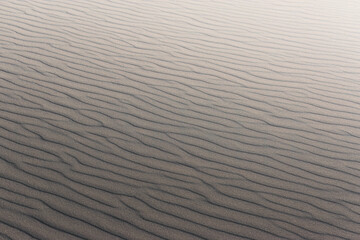 texture of a sand dune in a moving desert in Denmark
