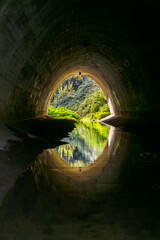 View out of an artificial water canal with lush vegetation on a sunny day in Germany. Oval shaped concrete tunnel with small creek reflecting nature and opening. Warm light at the end of the tunnel.