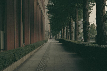 Tokyo One Scene