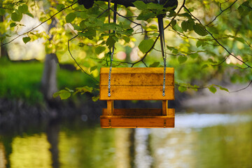 Homemade bird feeder hanging on a tree in the forest in summer. people care about animals.