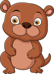 Cute little bear cartoon on white background