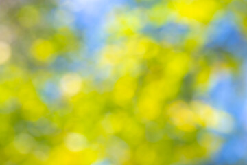 Blurred bokeh background of green leaves.