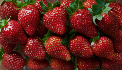 a lot of ripe juicy strawberries background