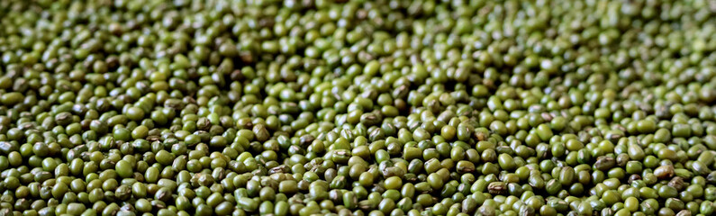 Green Bean lentil , Closeup macro shot