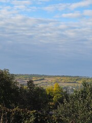 A landscape with trees and a blue sky