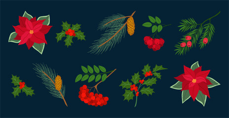 Set of christmas plants, pine branches with cones, yew, holly berry, red rowan, poinsettia, Hand drawn vector illustration isolated on black background. Modern flat cartoon style.