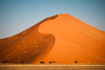 Dune 40 against clear blue sky in the Sossusvlei area, Namib-Naukluft National Park, Namibia. It is named after its distance of 40 kilometers from the Sesriem gate. - obrazy, fototapety, plakaty