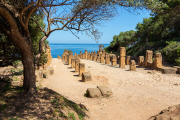 Ruins of the Roman Archeological Park of Tipaza ( Tipasa ), Algeria.