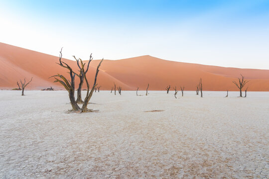 Sunrise on dead acacia trees at Deadvlei in the Namib desert in Namibia, Africa.