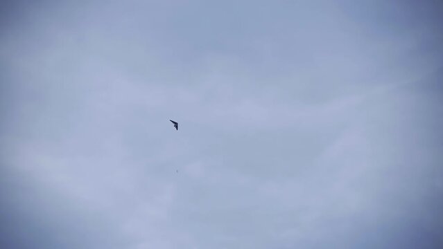 Ultralight Aircraft Cruising the Pristine Blue Horizon: Embracing the Beauty of Flight and the Vast Sky