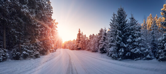 Beautiful winter road in natural sunny park. - 663151443