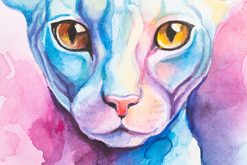 Cornish Rex Cat painted in watercolor on a white background in a realistic manner, colorful, rainbow. Ideal for teaching materials, books and nature-themed designs.