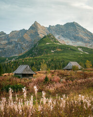 View of the Tatra Mountains and huts at Dolina Gąsienicowa, in Zakopane, Poland