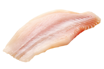 Raw Fresh Fish Fillet