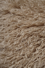 impressive texture of wool fibers close-up