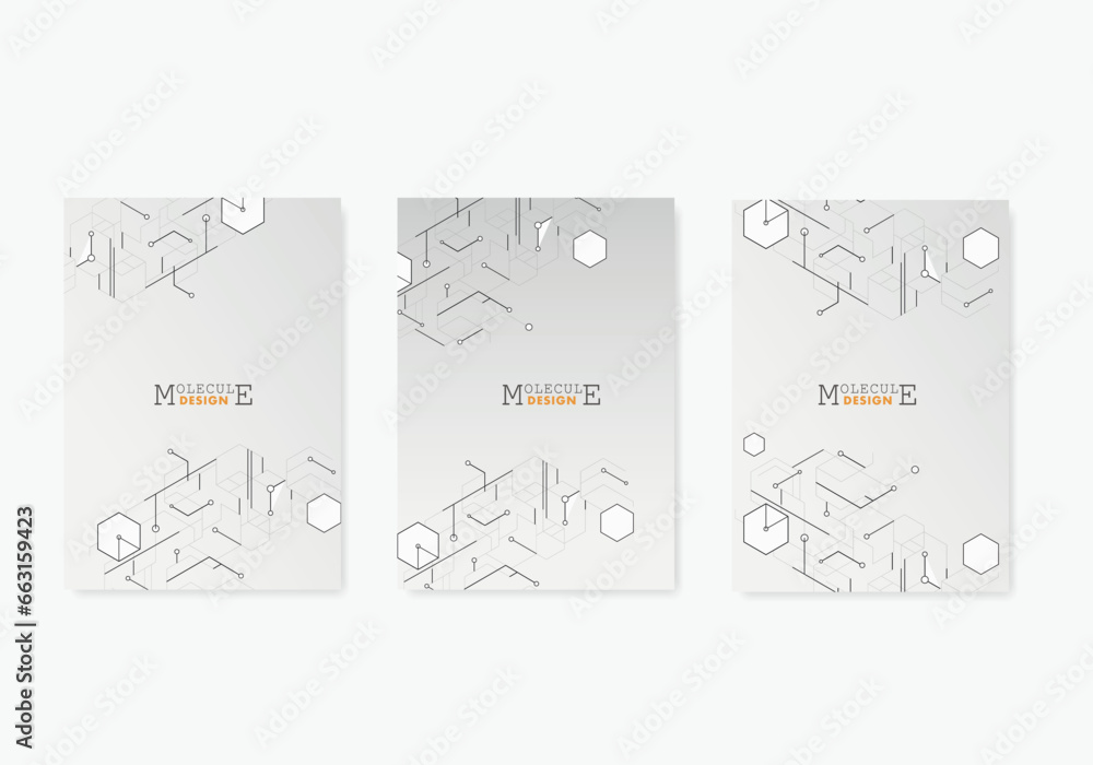 Poster brochure hexagons abstract pattern. lines and dots connect background. annual report, flyer template