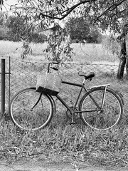 bicycle in the park