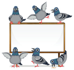 Many Pigeons Standing on Wooden Signboard Frame