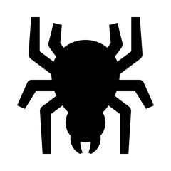 Naklejka premium Spider