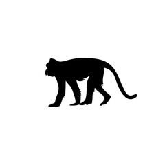 Flat Monkey Silhouettes. Vector Illustration.