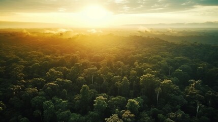 Fototapeta na wymiar Beautiful green amazon forest landscape at sunset sunrise. Adventure explore air dron view vibe. Graphic Art. AI Generated