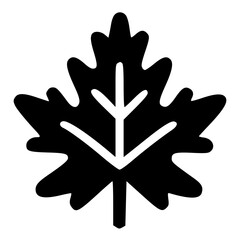 Obraz premium fall leaf