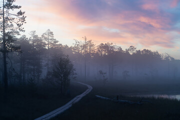 Hiking trail on the Viru swamp in the early foggy morning at sunrise.