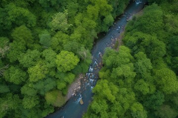 Aerial perspective of lush foliage and flowing stream. Generative AI