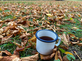 Enameled cup of coffee or tea on autumn landscape outdoors. Park Duchcov, Czech Republic
