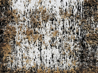 Salt crust on the brushwood bundles of a graduation house