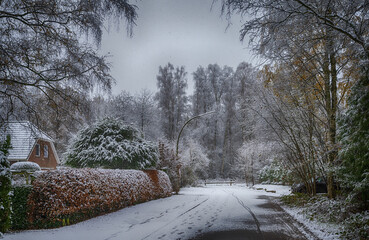 Frozen lake in northern German countryside after snowfall in winter