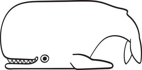 whale illustration