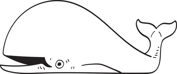 whale illustration