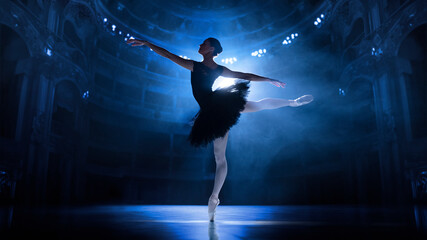 Graceful, beautiful talented young woman, professional ballet dancer in motion, performing on...